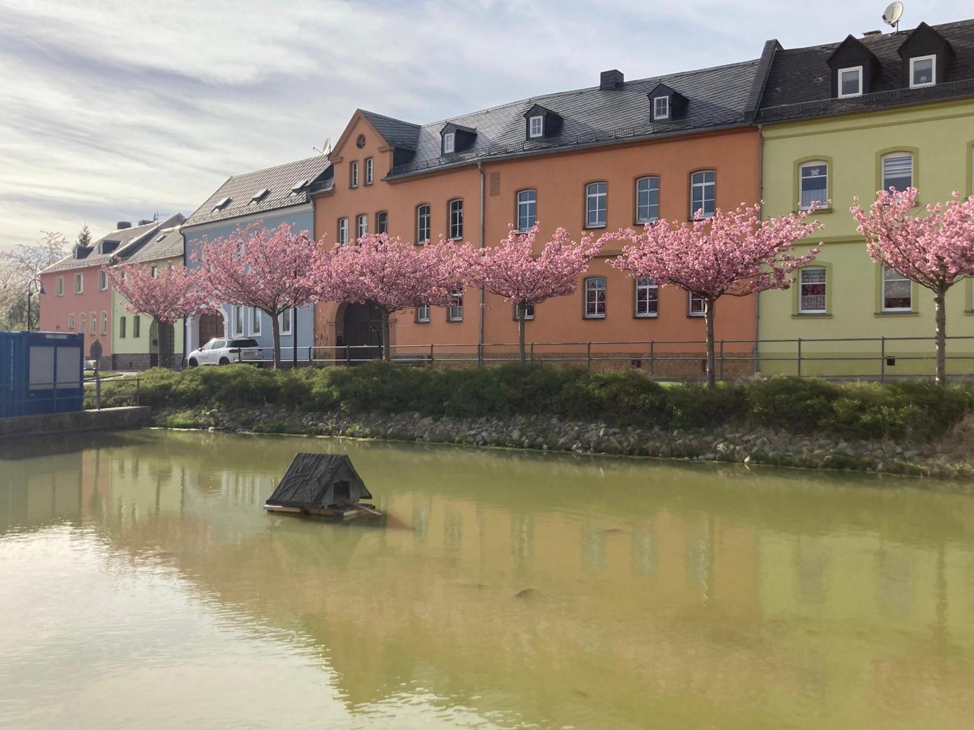 Pension Und Ferienwohnung Am Teich Schleiz Eksteriør bilde